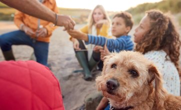 Autumn Family Break Autumn Family Breaks in Belfast